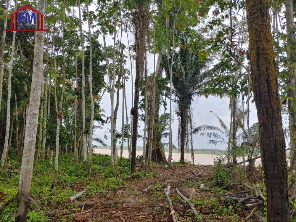 Fazenda - Foto 8