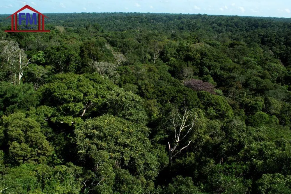 Fazenda - Foto 10
