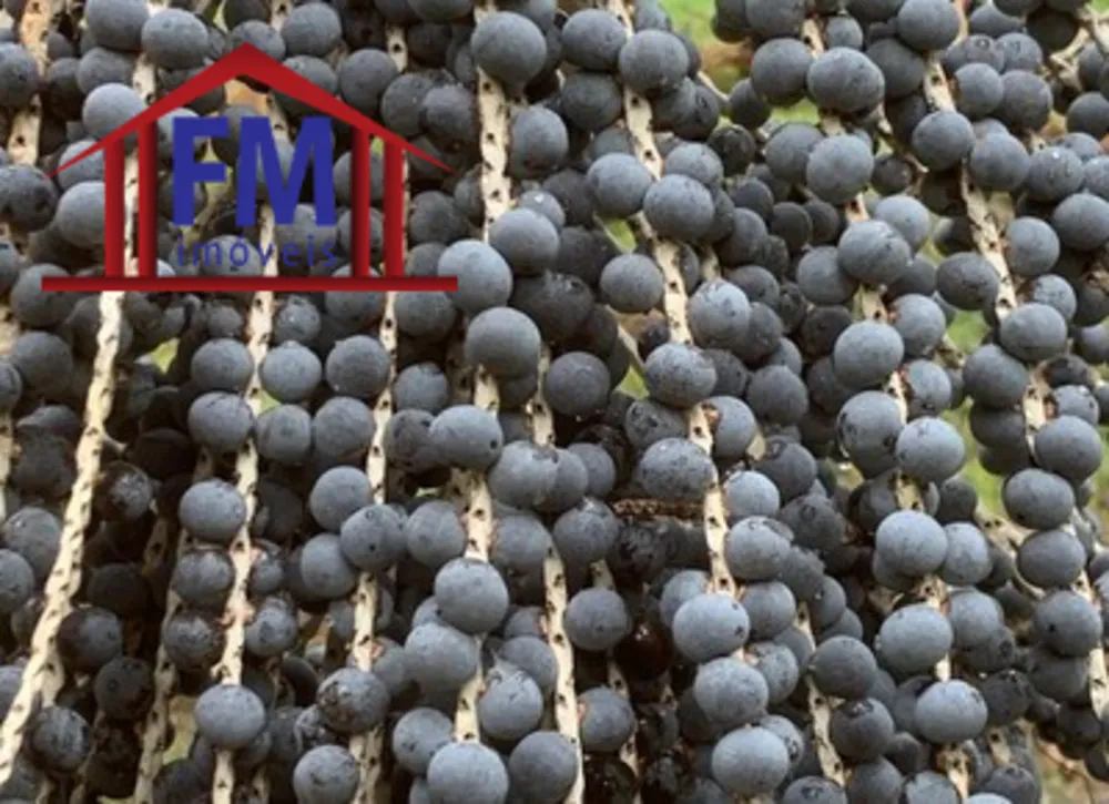 Fazenda - Foto 7