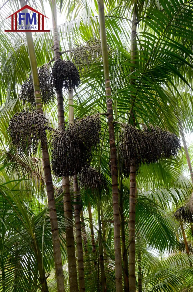 Fazenda - Foto 4