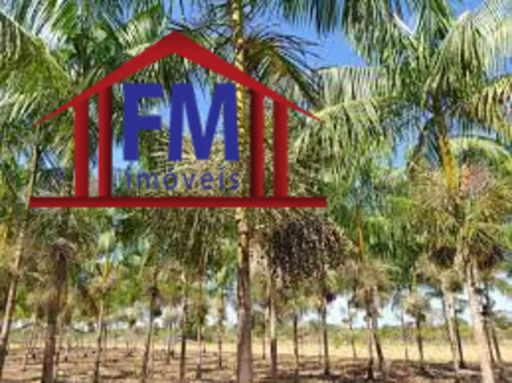 Fazenda - Foto 2