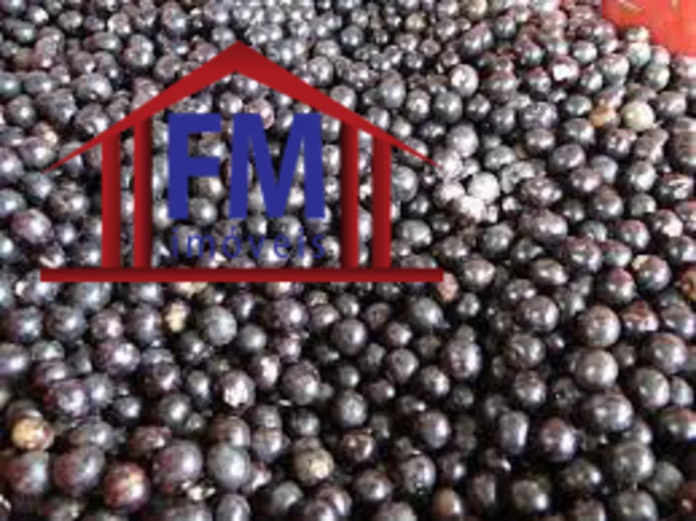 Fazenda - Foto 3