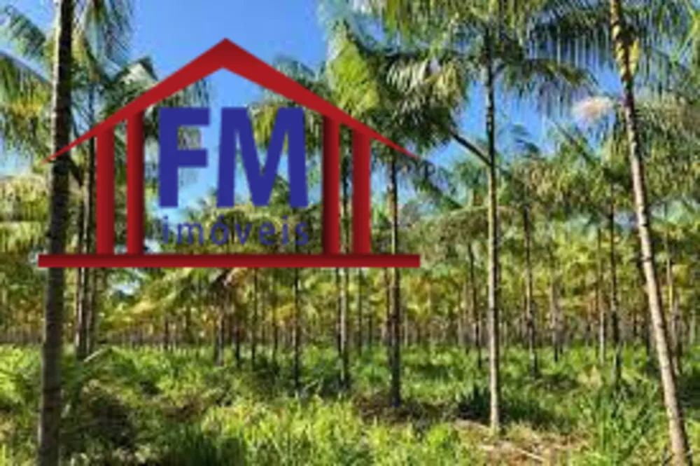 Fazenda - Foto 1