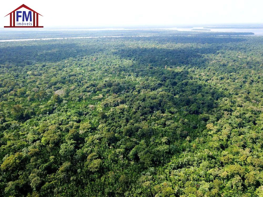 Fazenda - Foto 6
