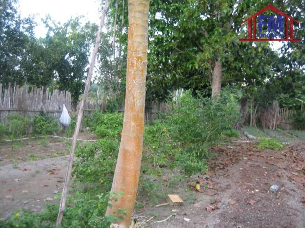 Terreno - Foto 10