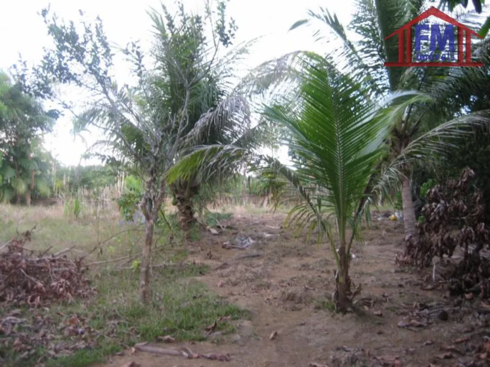 Terreno - Foto 11