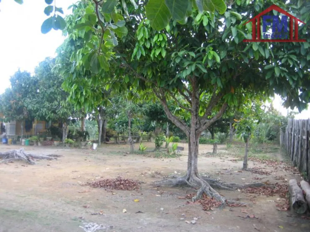 Terreno - Foto 5
