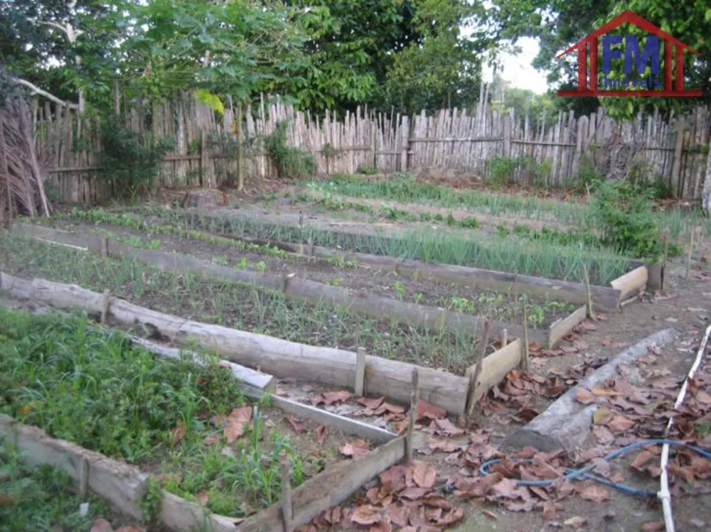 Terreno - Foto 12