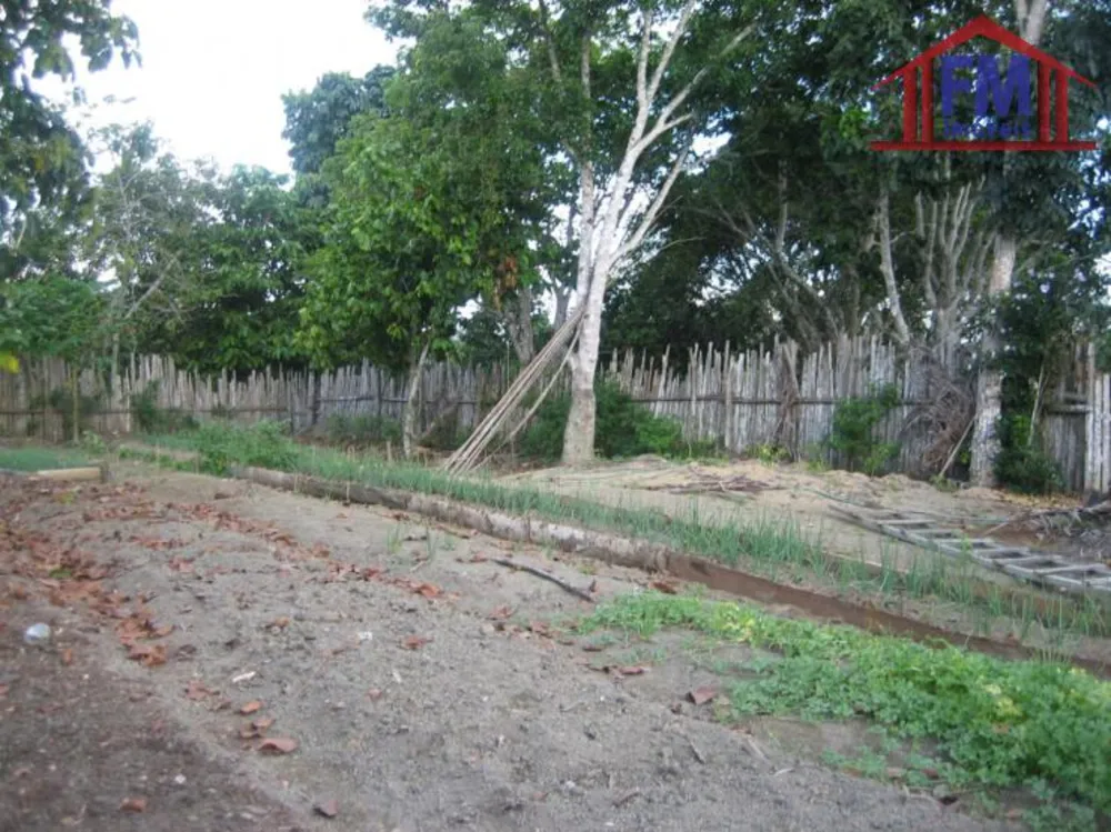 Terreno - Foto 2