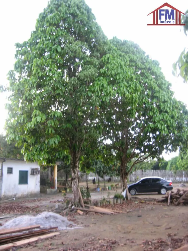 Terreno - Foto 14