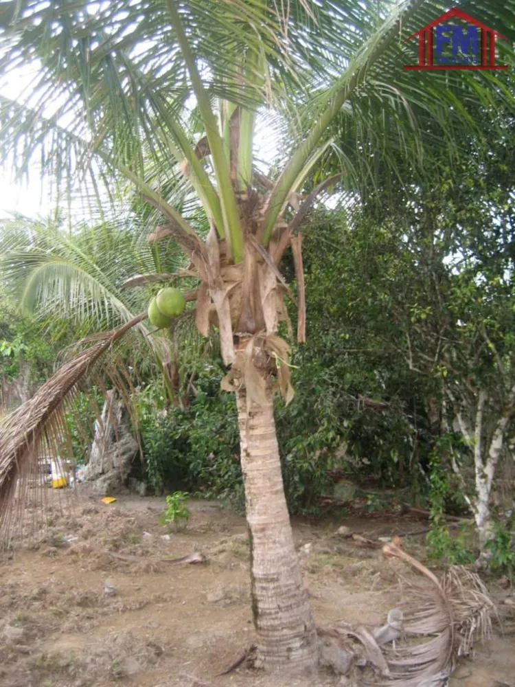 Terreno - Foto 1