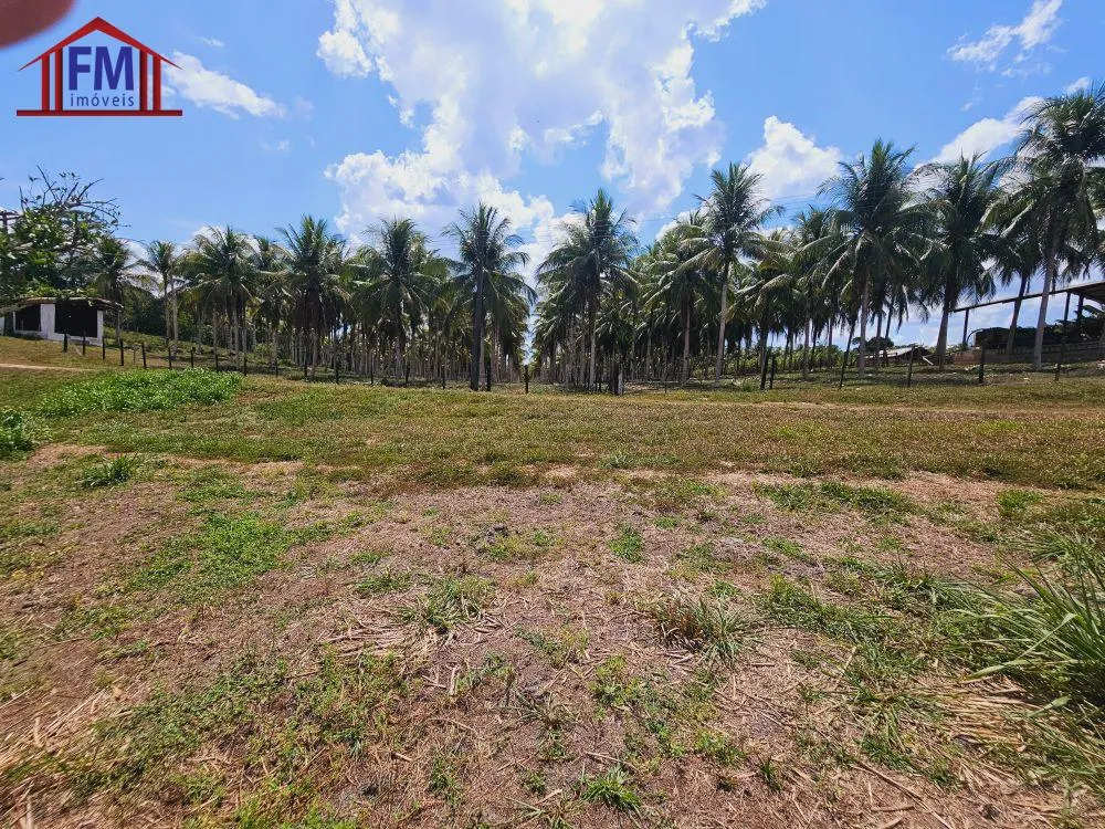Fazenda - Foto 13