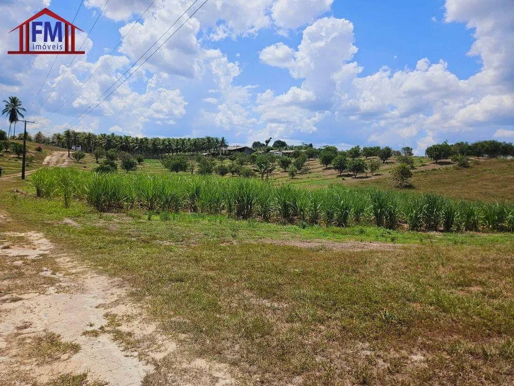 Fazenda - Foto 7