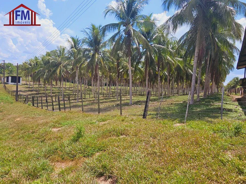 Fazenda - Foto 4