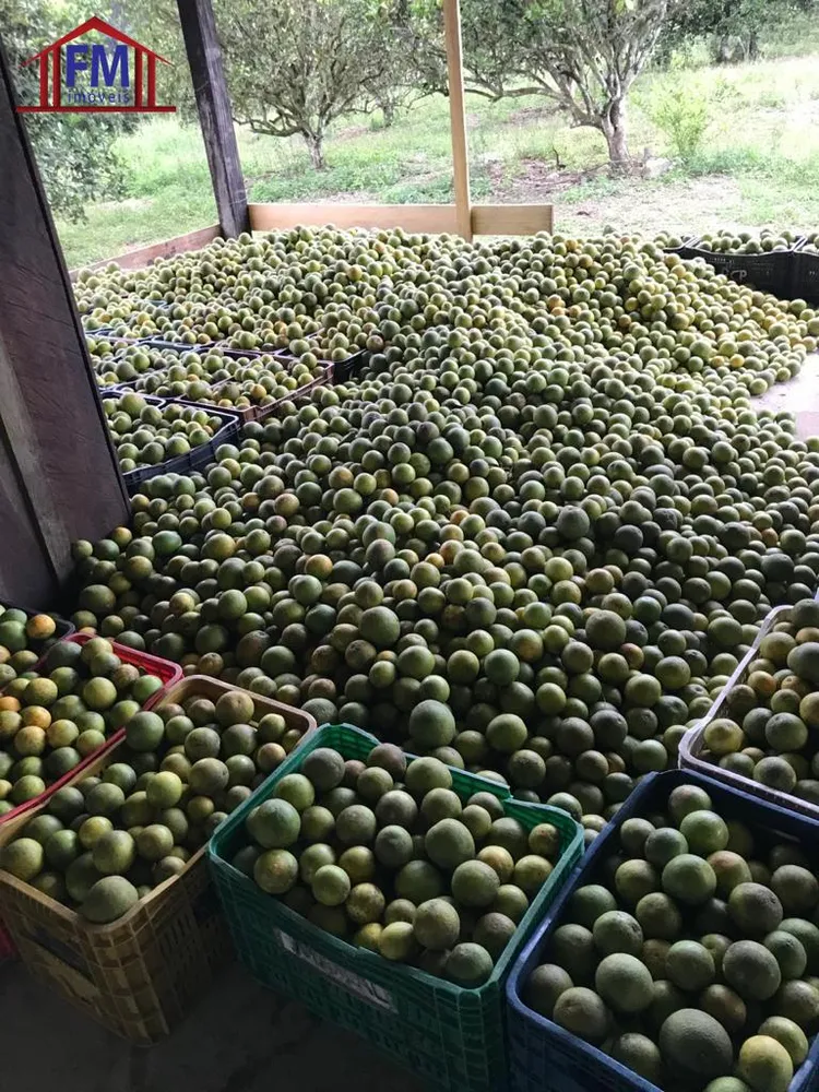 Fazenda - Foto 6