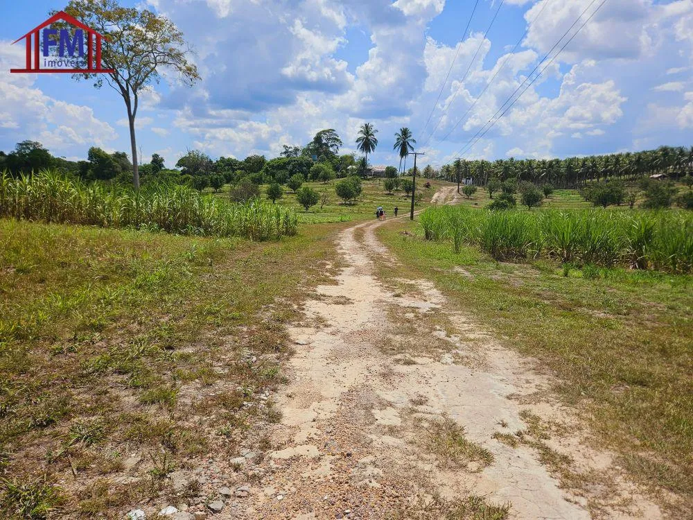 Fazenda - Foto 2