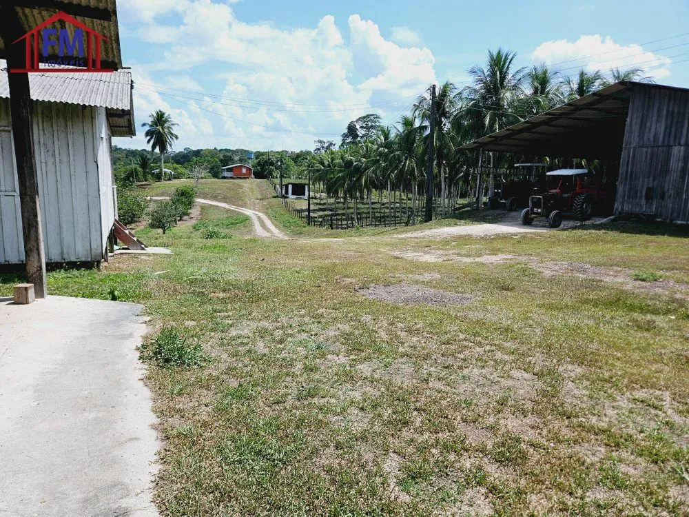 Fazenda - Foto 6