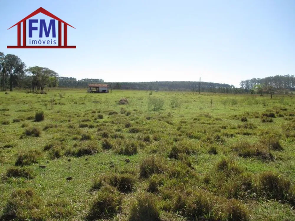 Fazenda - Foto 5