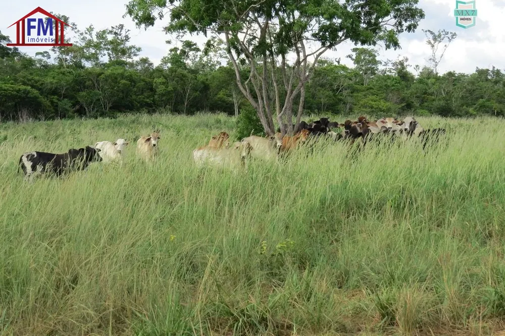 Fazenda - Foto 6