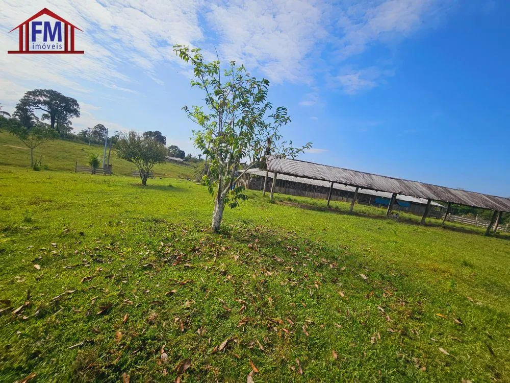 Fazenda - Foto 12