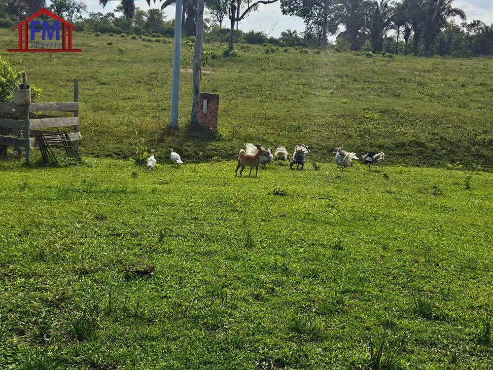 Fazenda - Foto 12