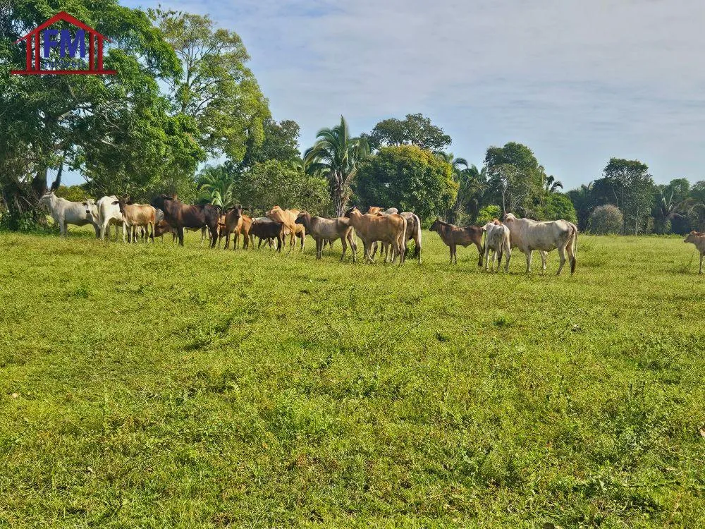 Fazenda - Foto 2
