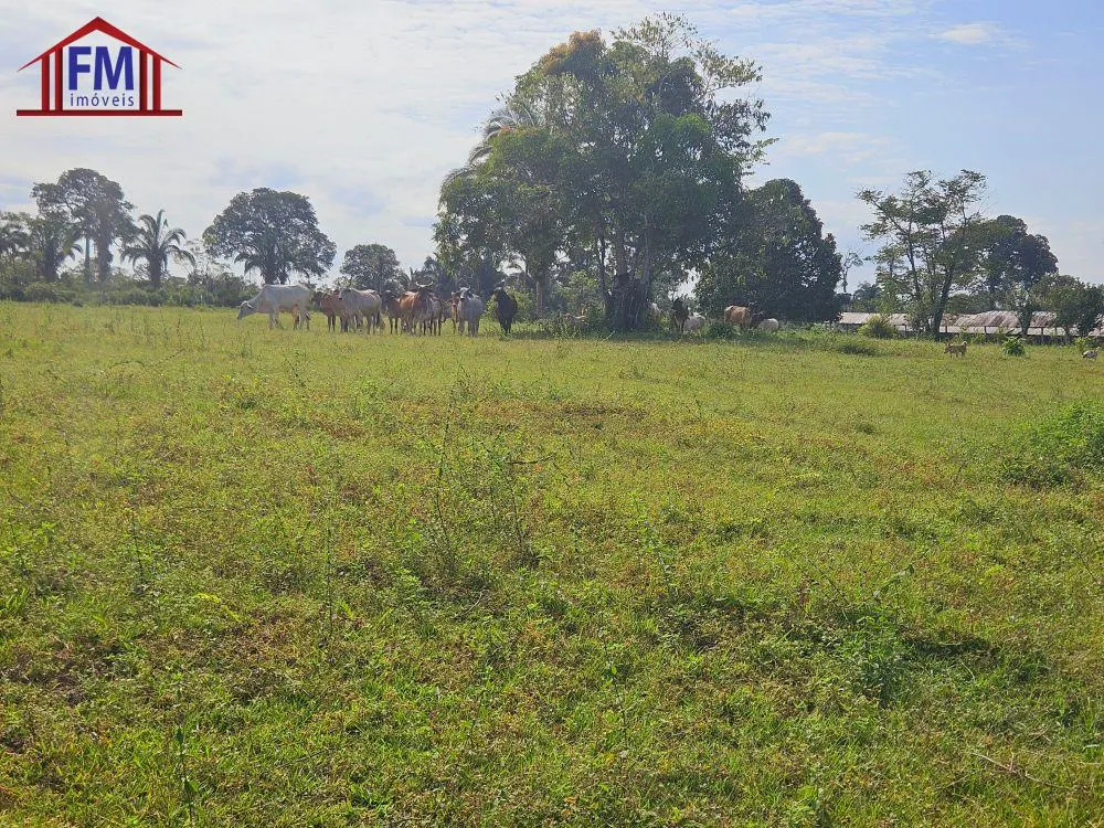 Fazenda - Foto 9