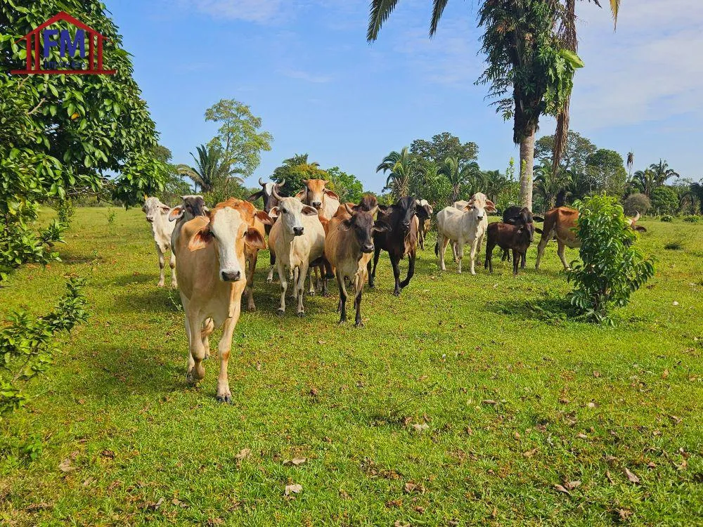 Fazenda - Foto 1