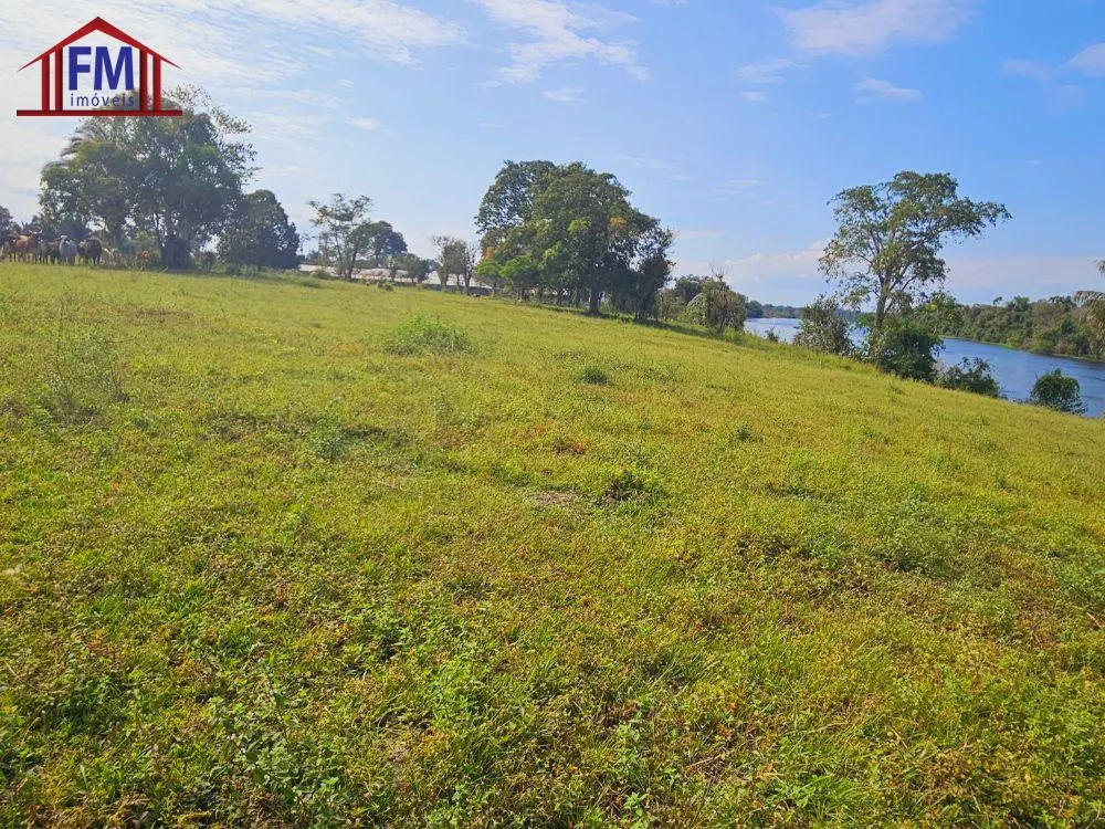 Fazenda - Foto 6