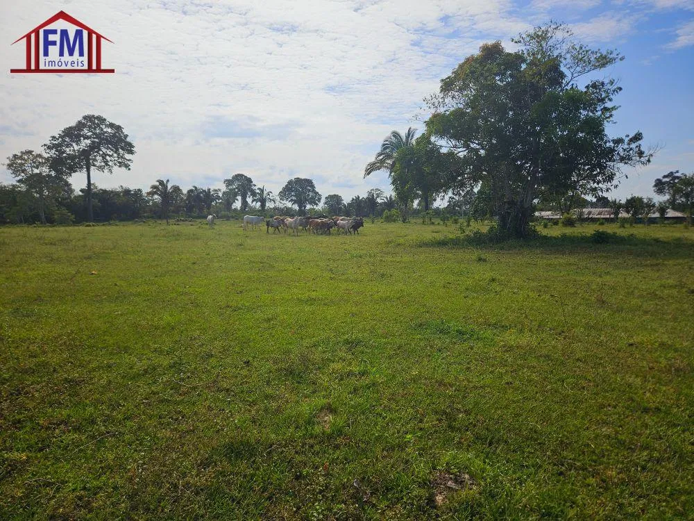 Fazenda - Foto 9