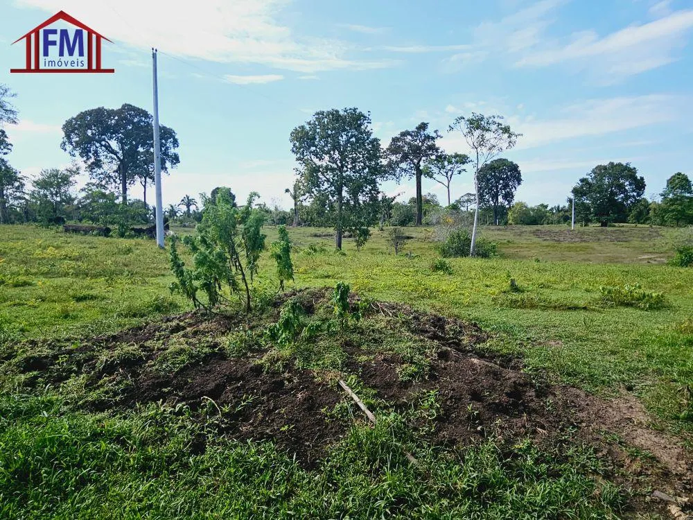 Fazenda - Foto 8