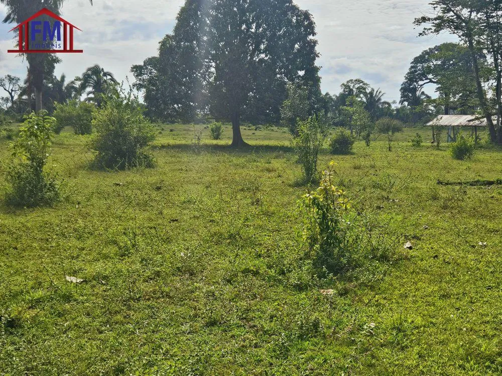 Fazenda - Foto 3