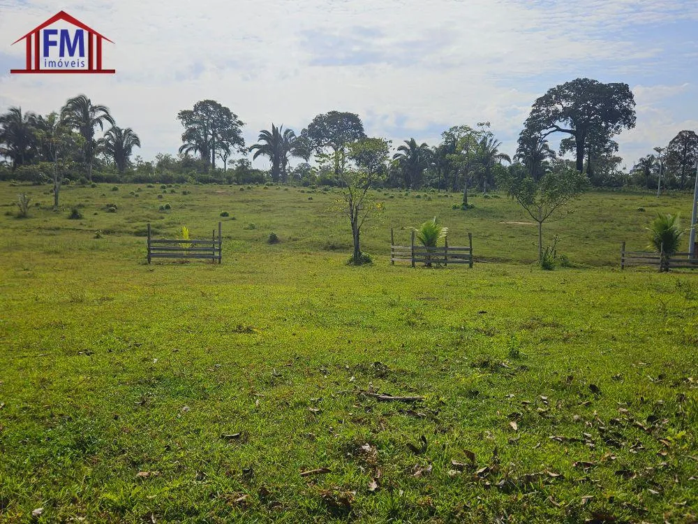 Fazenda - Foto 11