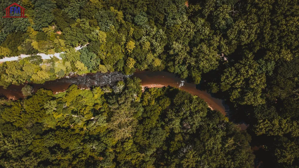 Fazenda - Foto 6