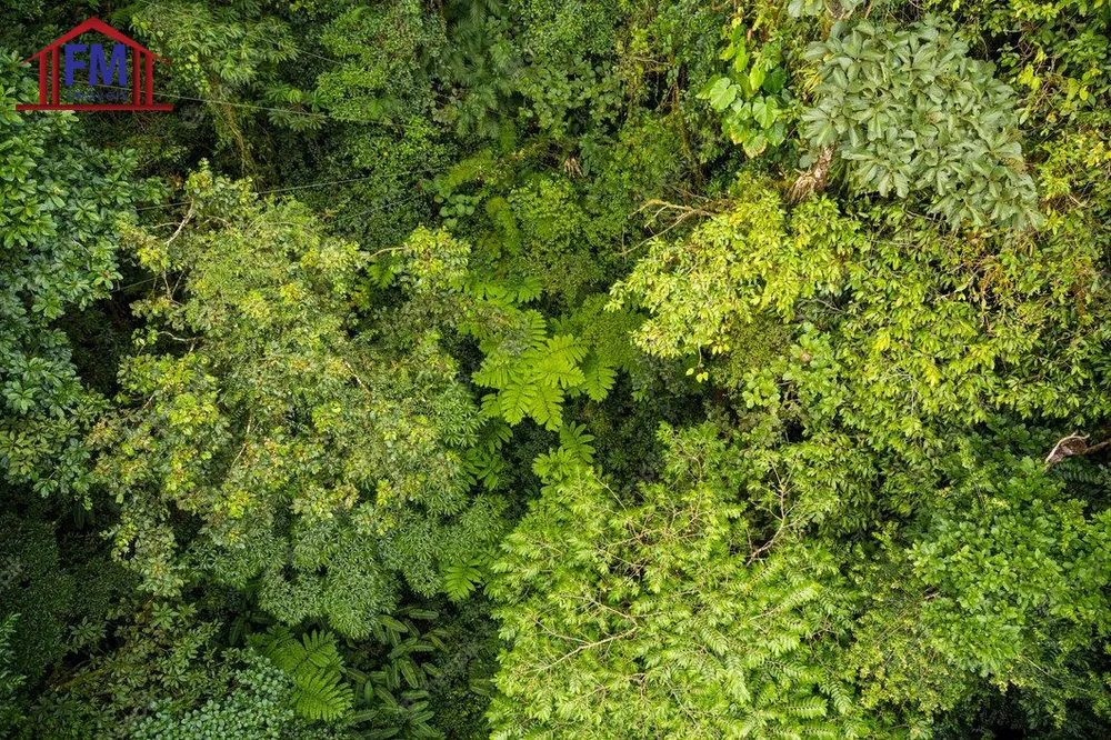 Fazenda - Foto 2