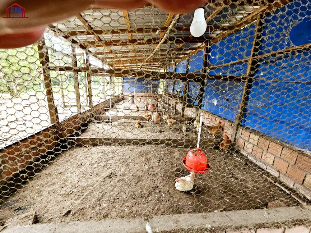 Sítio, 4 quartos, 600 m² - Foto 5