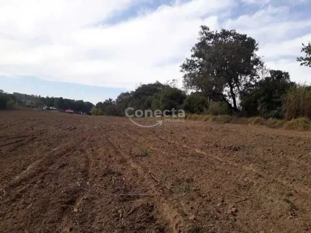 Loteamento e Condomínio à venda, 20000m² - Foto 3