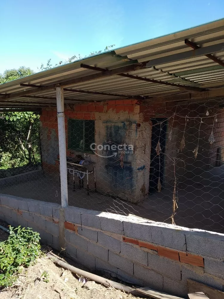 Fazenda à venda com 3 quartos, 300m² - Foto 3