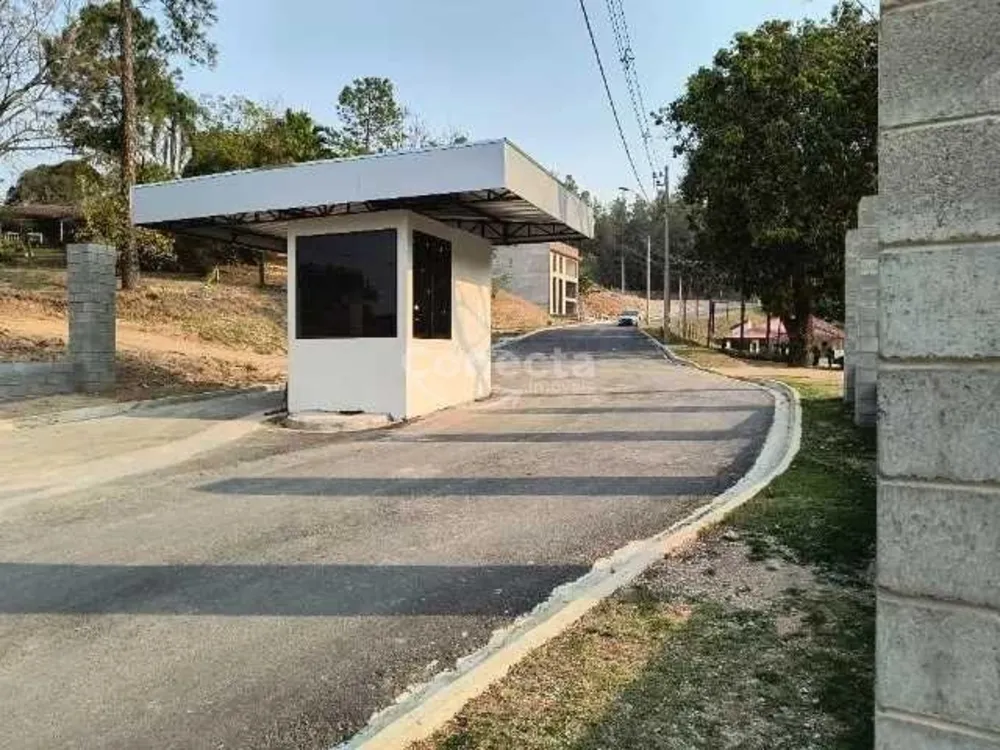 Terreno, 250 m² - Foto 6