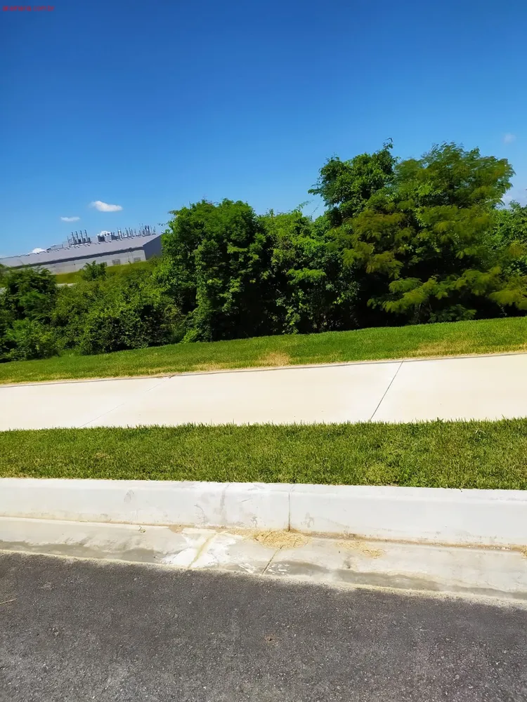 Terreno, 250 m² - Foto 12