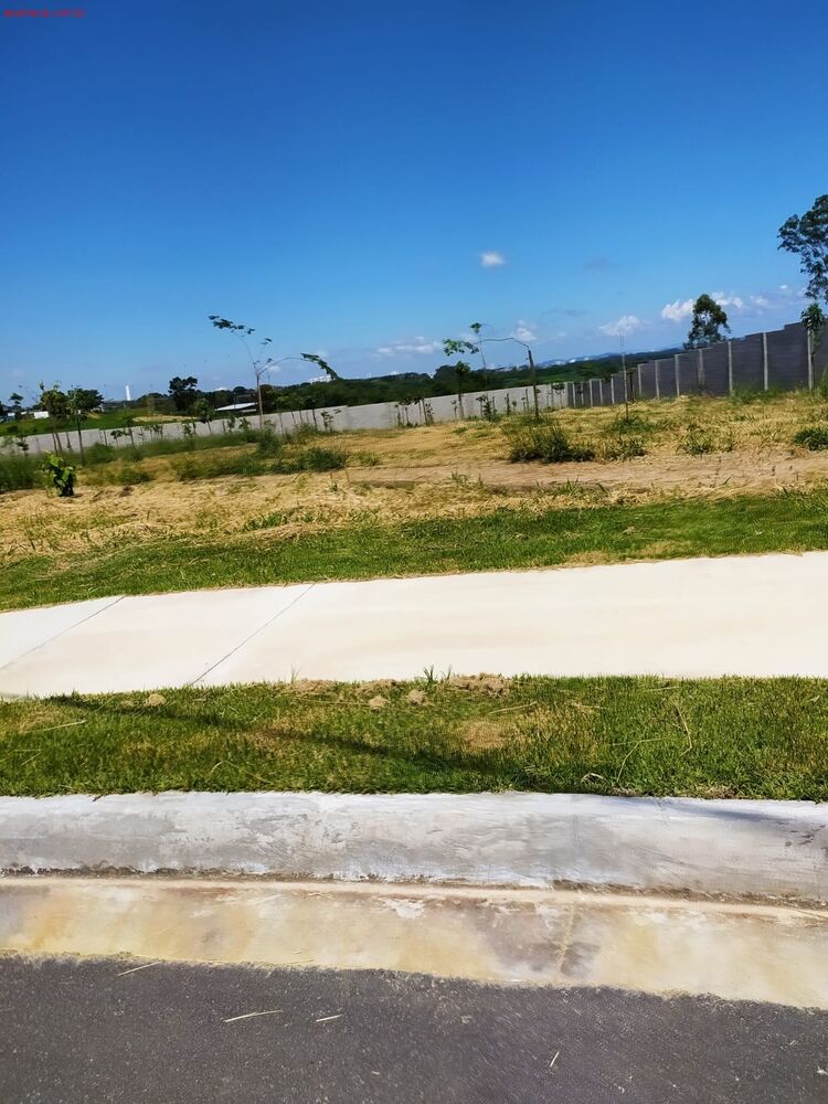 Terreno, 250 m² - Foto 4