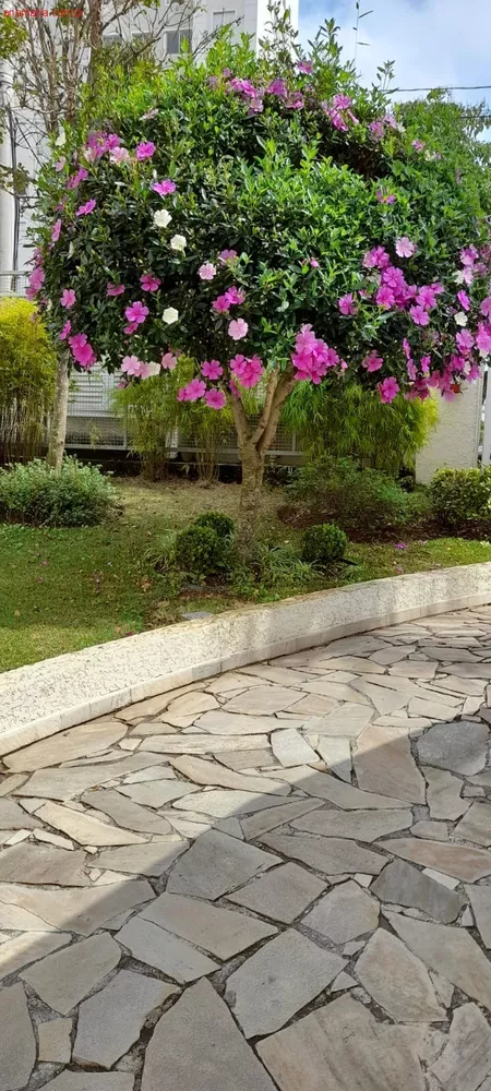Apartamento, 2 quartos, 55 m² - Foto 8