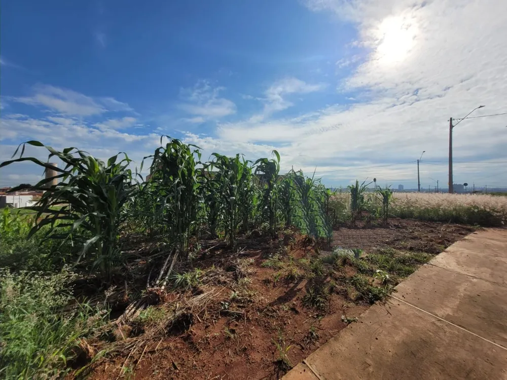 Terreno, 280 m² - Foto 1