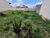Terreno, 334 m² - Foto 1