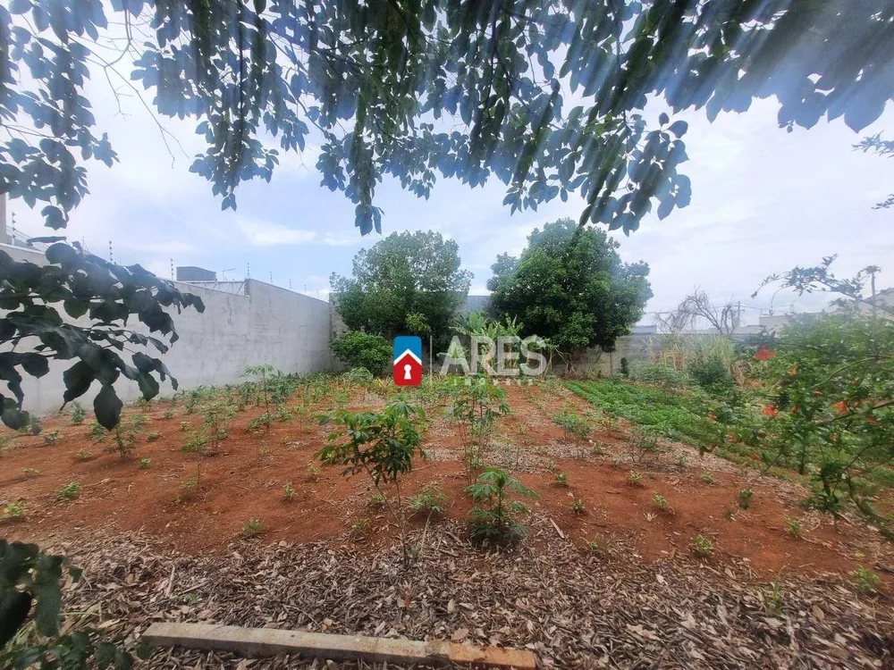 Terreno, 250 m² - Foto 6