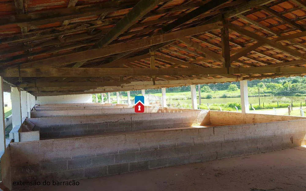 Sítio, 7 quartos, 2 hectares - Foto 10