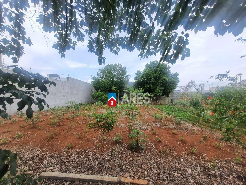 Terreno, 250 m² - Foto 1