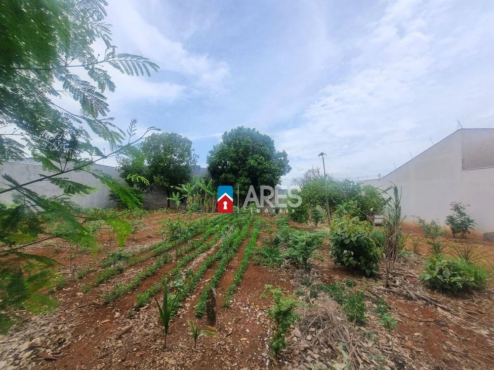 Terreno, 250 m² - Foto 6