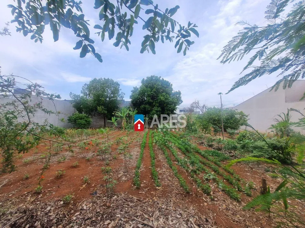 Terreno, 250 m² - Foto 4