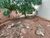Terreno, 402 m² - Foto 2